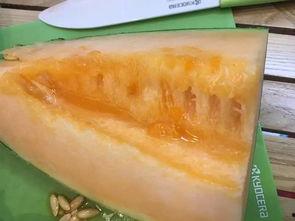 孕期吃伽师瓜,营养美味，助力母婴健康