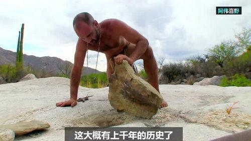 德爷沙漠吃瓜,一场别开生面的沙漠吃瓜之旅