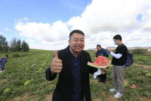 金山吃瓜群众,揭秘网络热议背后的真相与趣味