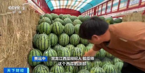 打铁吃瓜,揭秘民间智慧与生活哲学