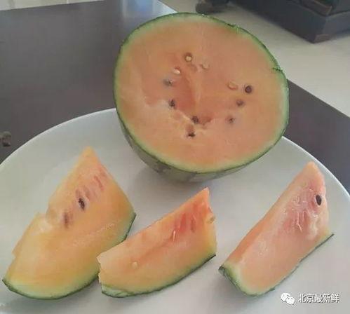 瓜点点怎么吃,解锁多样吃法，尽享美味时光